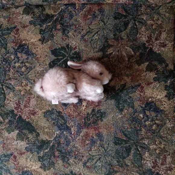 Buster, small rabbit soft, plush, realistic classic toy, Ty, pink-brown - Picture 4 of 8